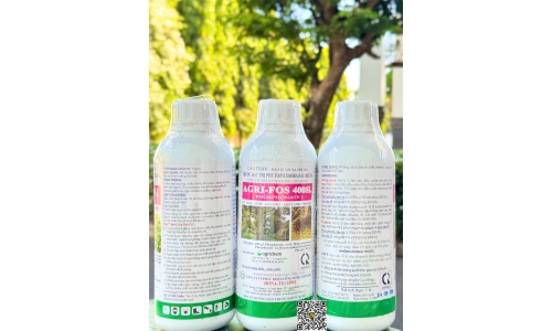 Công Ty DONA-TECHNO