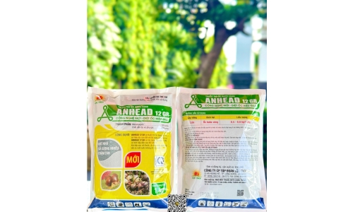 Công Ty Lộc Trời