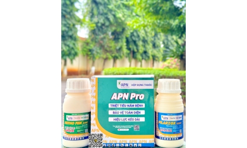 Công Ty An Phát Nông 