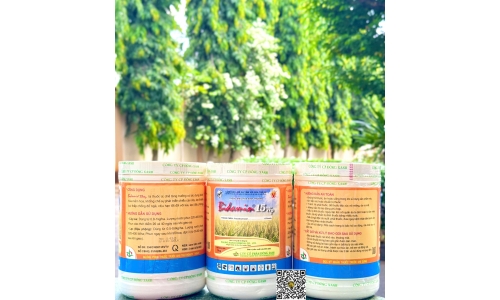 Công Ty Đồng Xanh