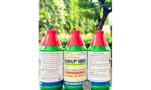 Công ty Việt Thắng