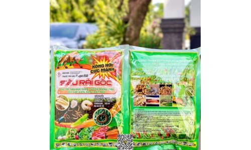 Công Ty Việt Trung