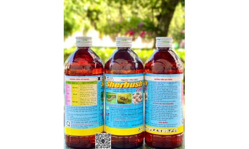 Công Ty Việt Bình Phát