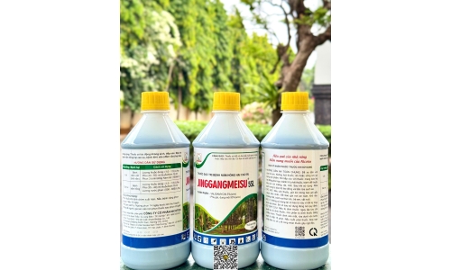 Công Ty Bộ Quốc Phòng