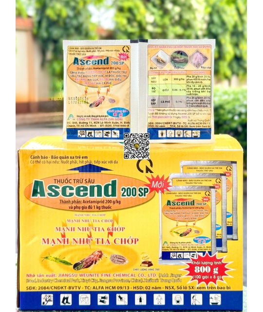 Ascend 20SP - 8gr (12h x 100 gói)