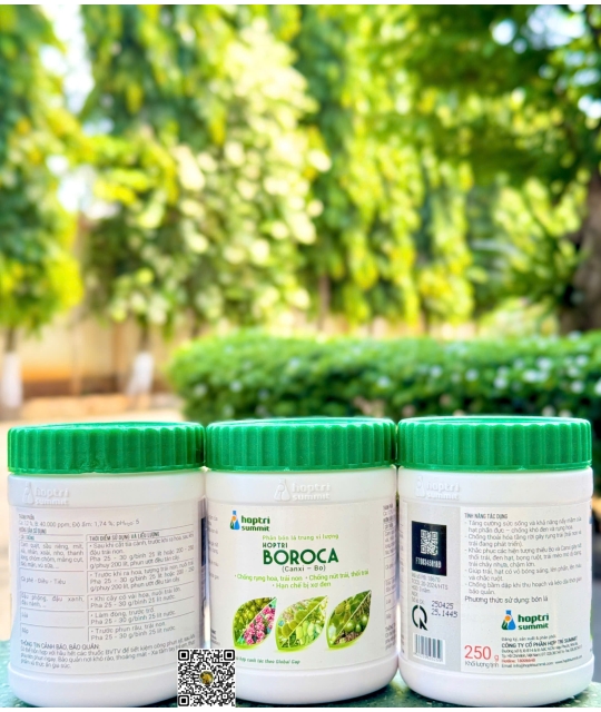 Boroca - 250gr x 72 hũ