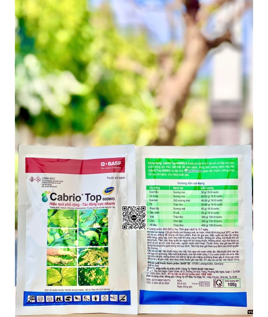 Cabrio Top 600WG - 100gr