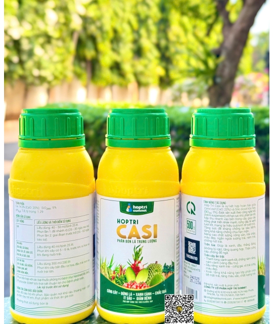 Casi - 500ml x 20 chai