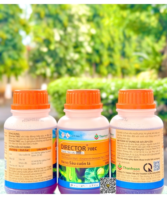 Director 70EC - 250ml