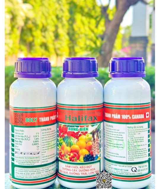 Halifax Rong Biển - 500ml x 40 chai