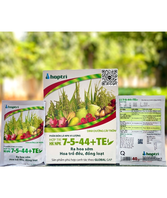 HK 7.5.44 + TE - 40gr ( 12h x 25 gói )