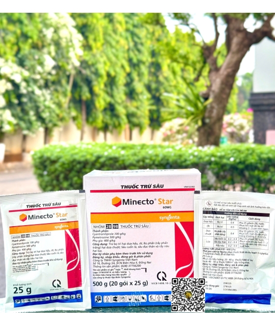 SGT Minecto Star 60WG - 25gr (4H x 20 gói)