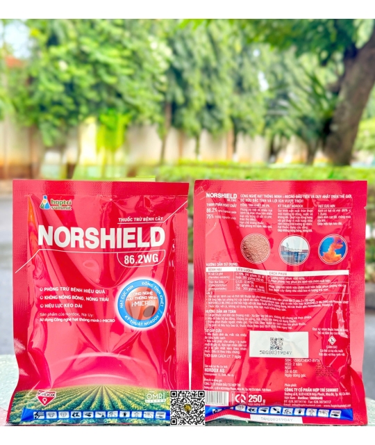 Norshield 86.2 WG - 250gr New x 50 gói