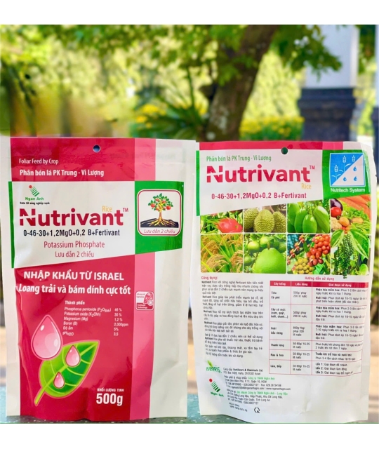 Nutrivant - 500gr x 40 gói