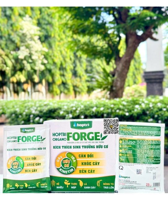 Organo Forge - 25ml x 400 gói