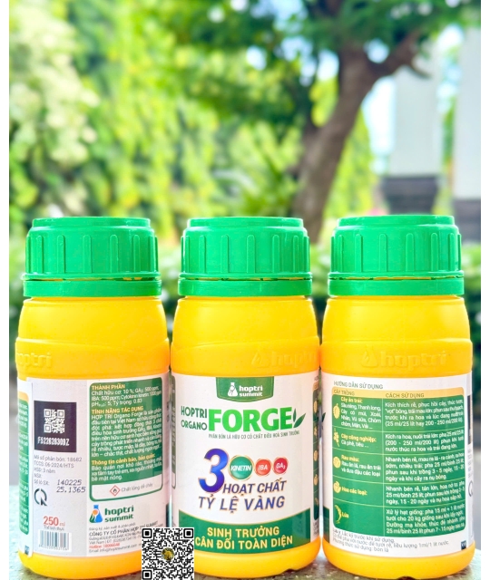 Organo Forge - 250ml x 40 chai