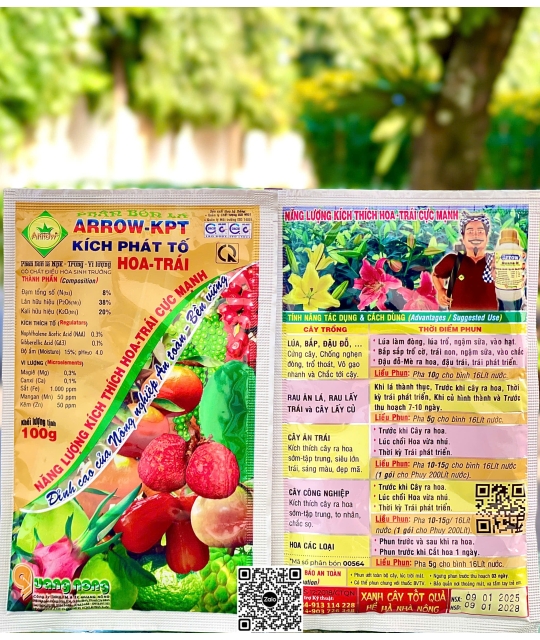 QN - Kích Phát Tố - 100gr (10h x 20 gói)