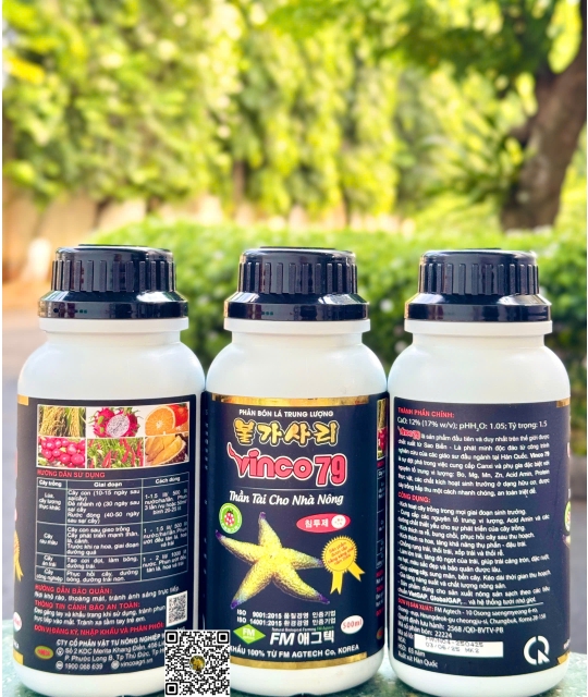 Vinco 79 - 500ml x 30 chai