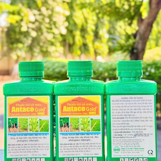 Antaco Gold 500EC - 450ml (V)