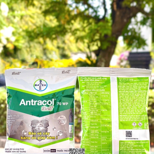 Antracol 70WP - 100gr x 100 gói