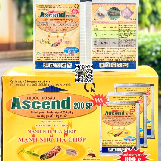 Ascend 20SP - 8gr (12h x 100 gói)