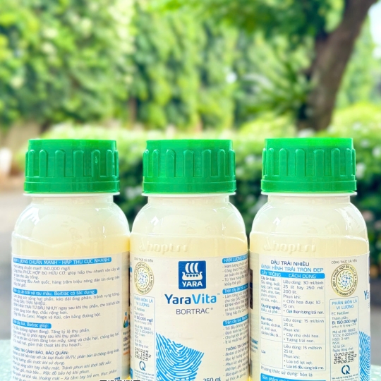 Bortrac - 250ml x 40 chai