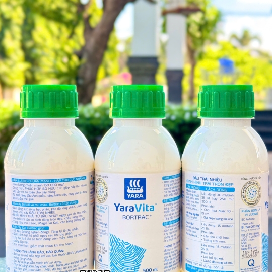 Bortrac - 500ml x 20 chai