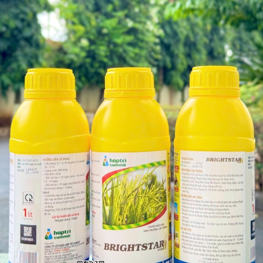 Brightstar 25SC - 1 lít x 12 chai