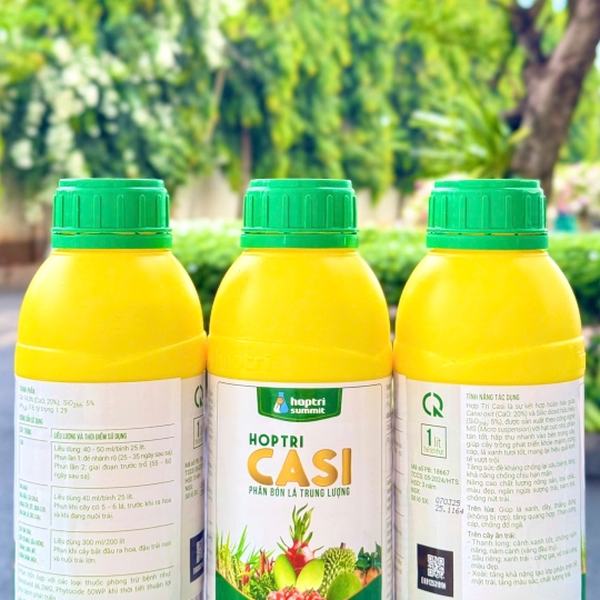 Casi - 1 lít x 12 chai