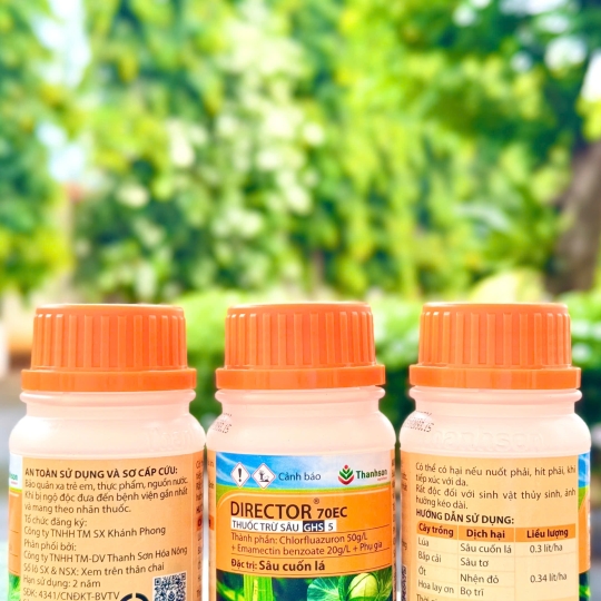 Director 70EC - 100ml