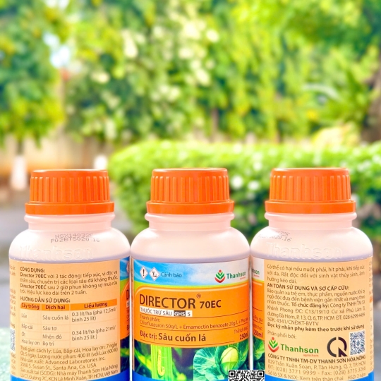 Director 70EC - 250ml