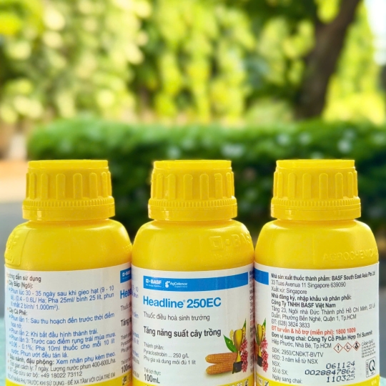 Headline 250EC - 100ml