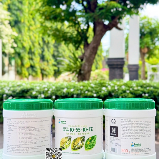 HK NPK 10-55-10 TE - 500gr x 36 hũ