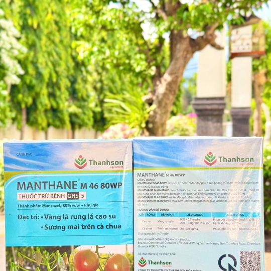 Manthane Xanh - 1kg x 20 gói