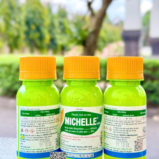 Michelle 62EC - 100ml x 100 chai