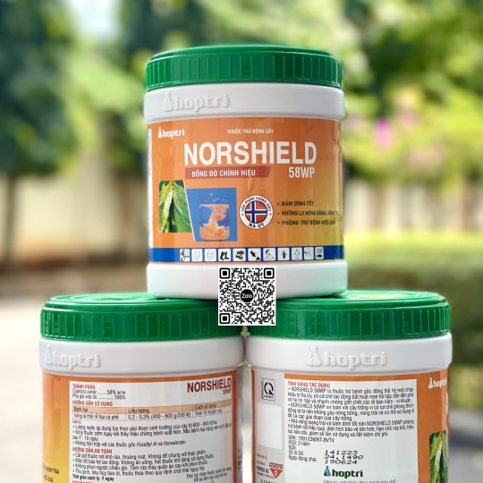 Norshield 58WP - 400gr x 36 hủ