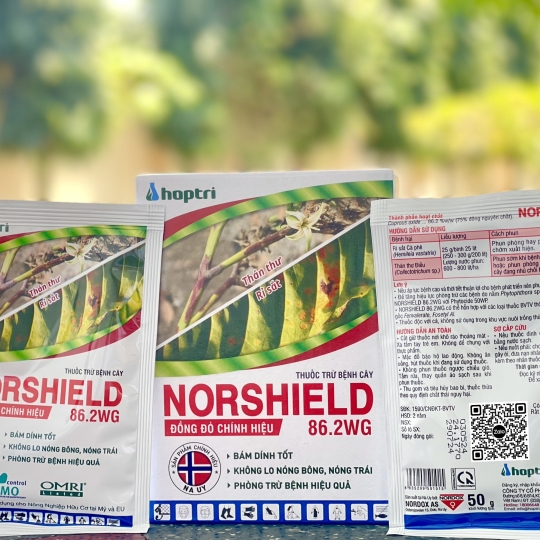 Norshield 86.2 WG - 50gr (12h x 20 gói)