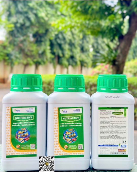 APN Nutri Active - 500ml x 24 chai