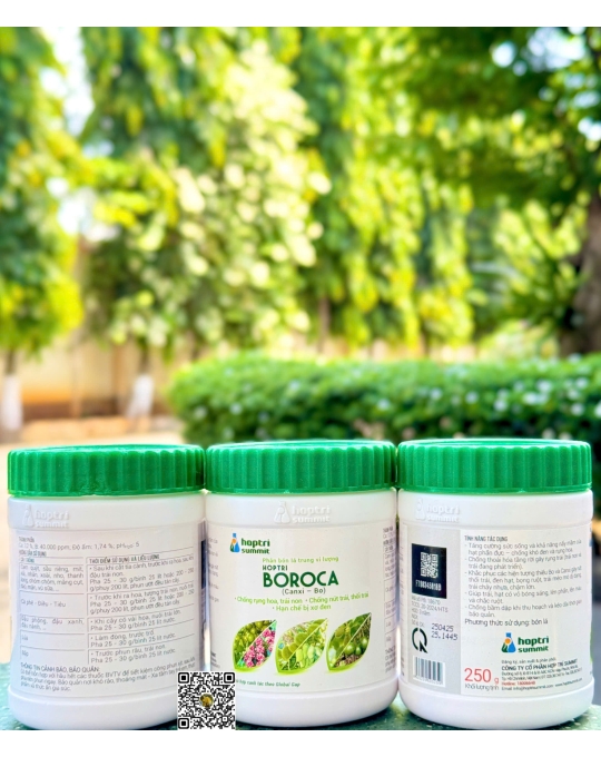 Boroca - 250gr x 72 hũ