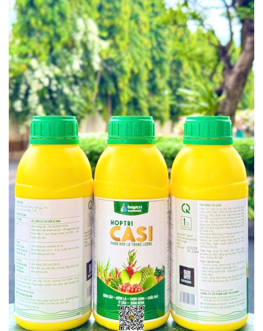 Casi - 1 lít x 12 chai