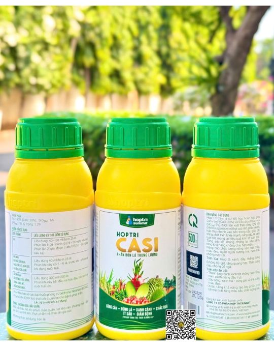 Casi - 500ml x 20 chai