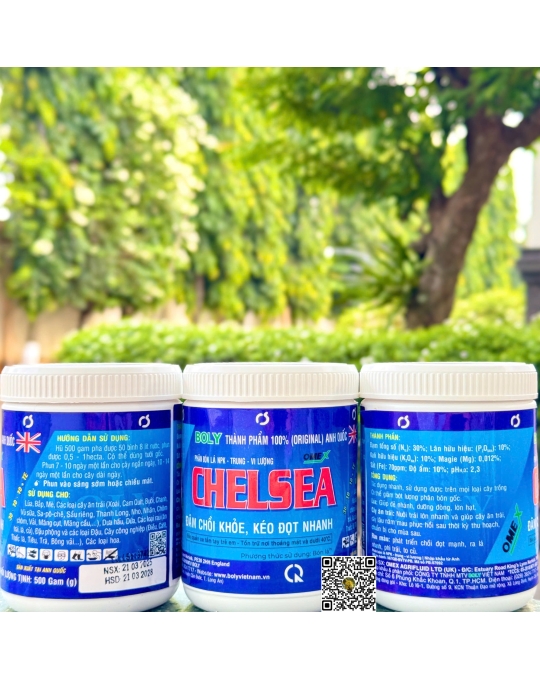 Chelsea - 500gr x 24 hộp