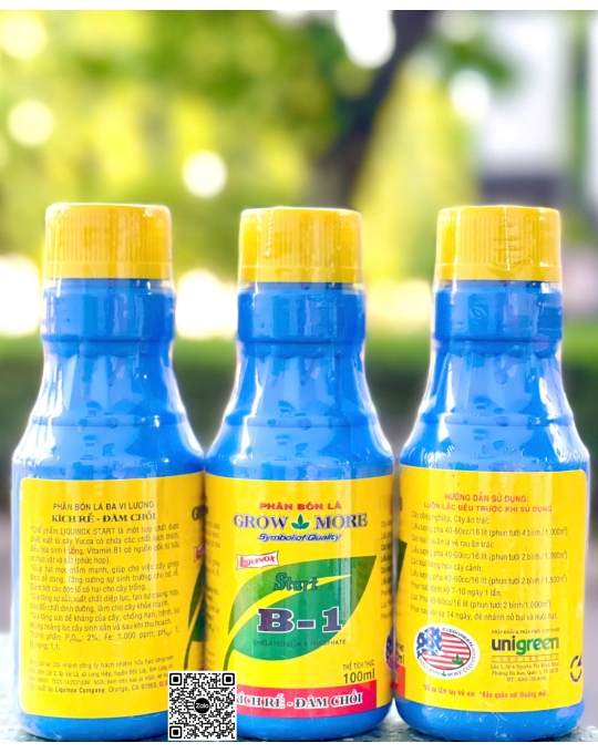 DN Vitamin B1 - 100ml x 100 chai (Liquinox)