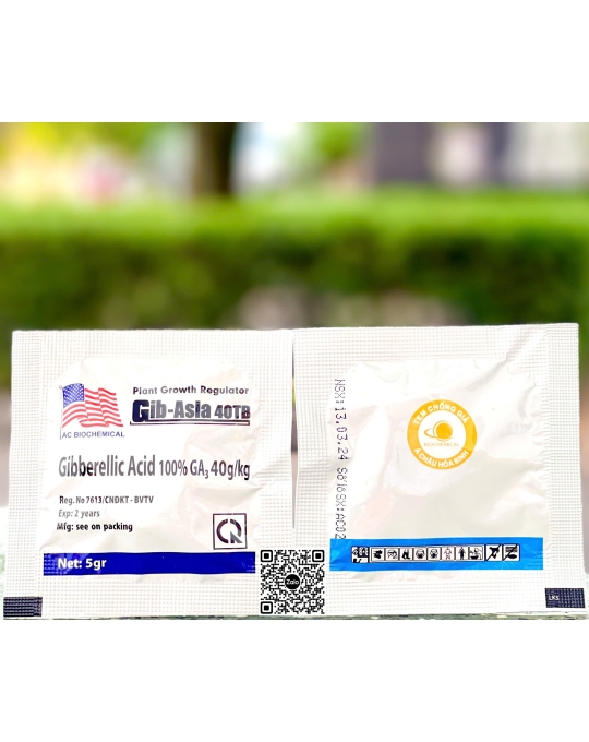 Gibber Asia 40TB Lá Cờ Mỹ - 5gr (10 bịch x 100 viên)