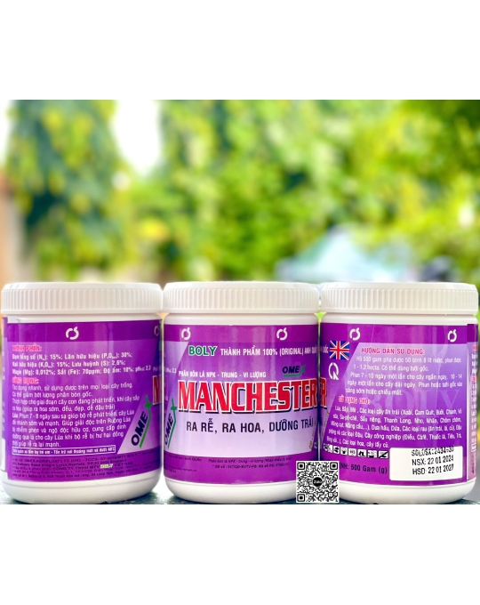 Manchester - 500gr x 24 hộp