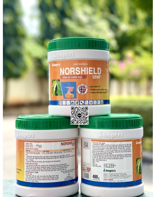Norshield 58WP - 400gr x 36 hủ