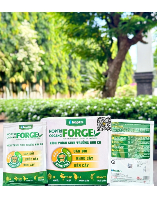 Organo Forge - 25ml x 400 gói