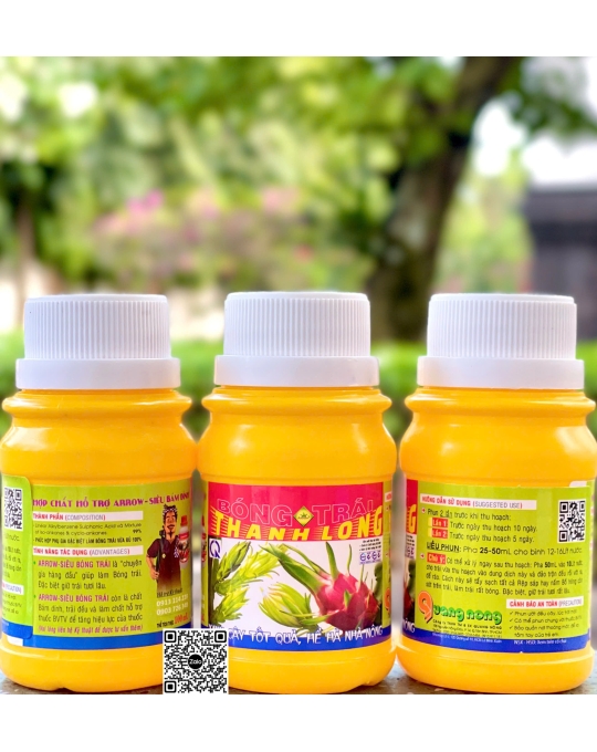 QN - Bóng Trái Thanh Long - 100ml x 100 chai