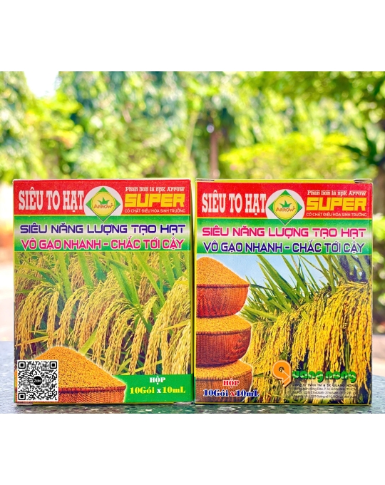 QN - To Hạt Lúa - 10ml (10H x 10h x 10 gói)