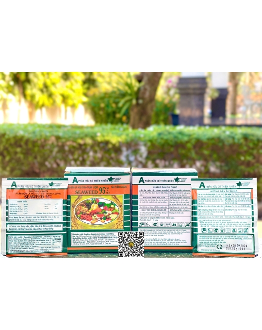 Rong Biển Seaweed - 10gr (11h x 100 gói)